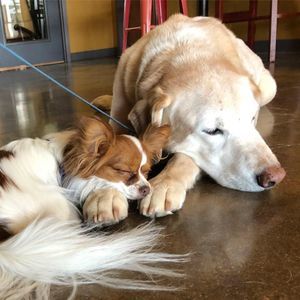 Meet your Posher, Tiffany